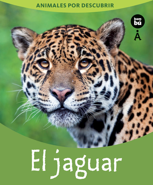 El jaguar