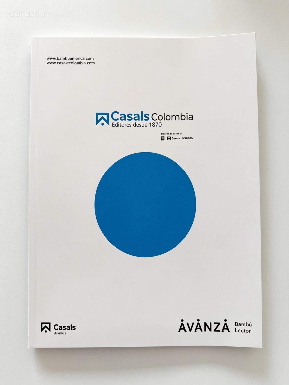 KIT Plan lector Grado 10 - Innova Schools Sede Niza